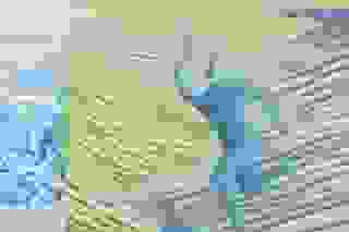 © Gabriela Valdespino