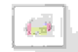 Foto: Franziska von den Driesch