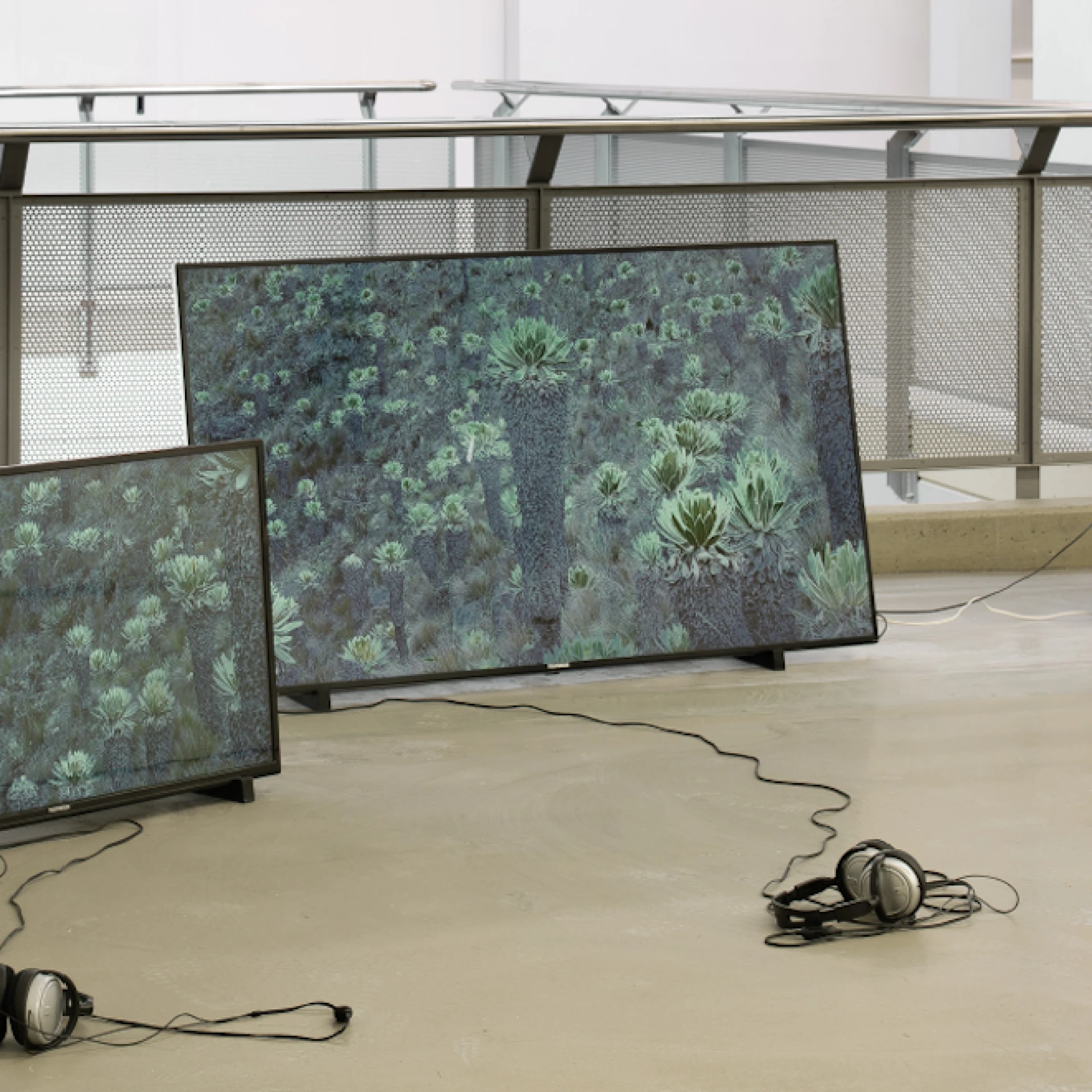 Water Warriors, Video und Sound Installation, 2019