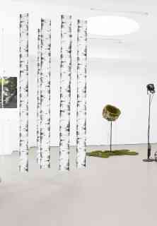 *Ode To The Birch*, Installation, 2019