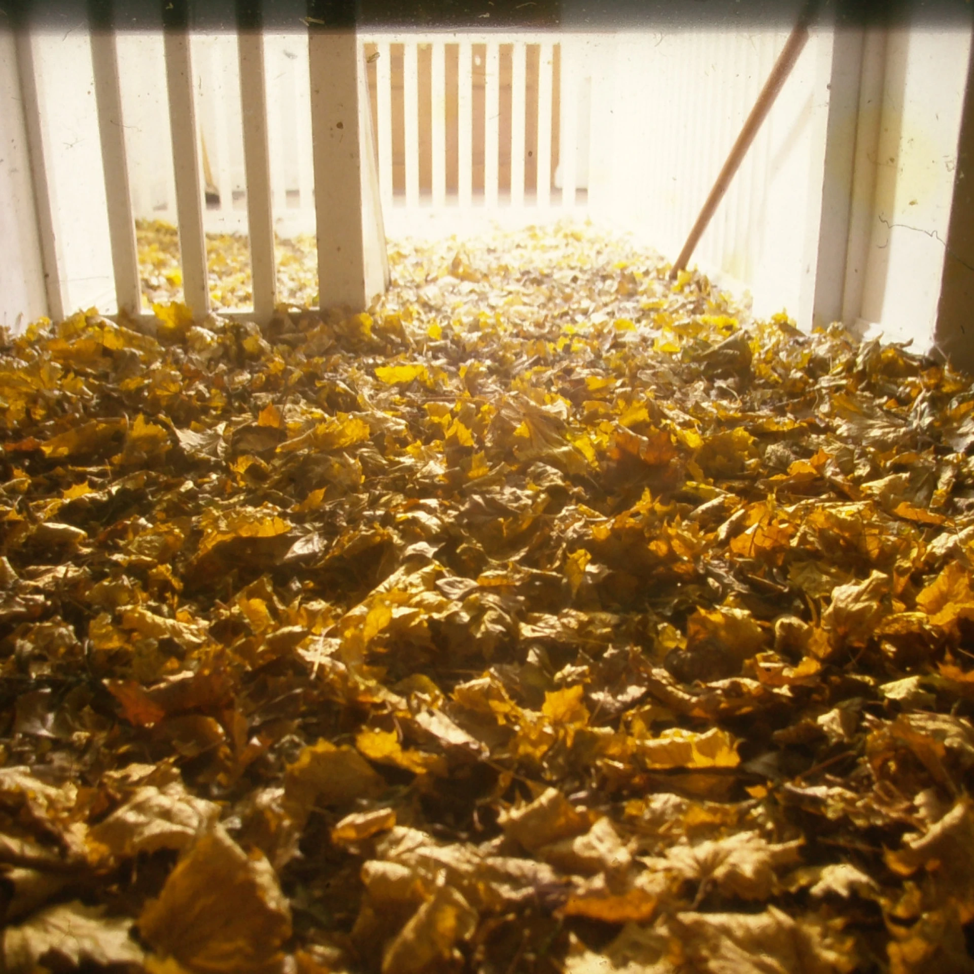 *Laub Treppe*, 1997, 500 x 700 x 400 cm, leaves, wire mesh