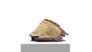 processed_work, 2014
Ton, Gips, Acrylfarbe, Acrylharz