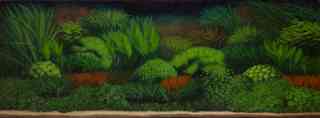 *Naturalia*-Aquarium, 2007, Öl auf Spanplatte, 55 x 151 cm