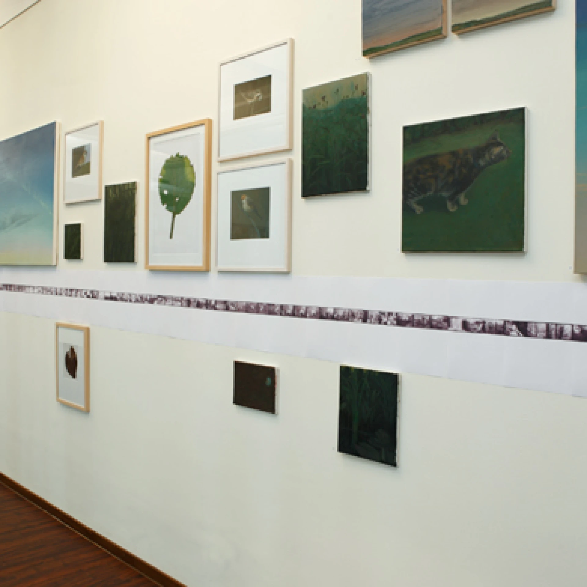 Exhibition view *Naturalia*, 2009