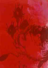 *Rose #02*, 50 x 40 cm, 
Ausschnitt, 15-teilig, je 160 x 220 cm, 
Lithographien, Unikatdrucke auf Büttenpapier