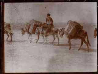 *Die Reise # 05*, 
Fotoinstallation, Ausstellungsansicht,
424 Fotos einer Reise aus dem Jahr 1904,
Passepartouts, Fotoalbum, Glaskasten