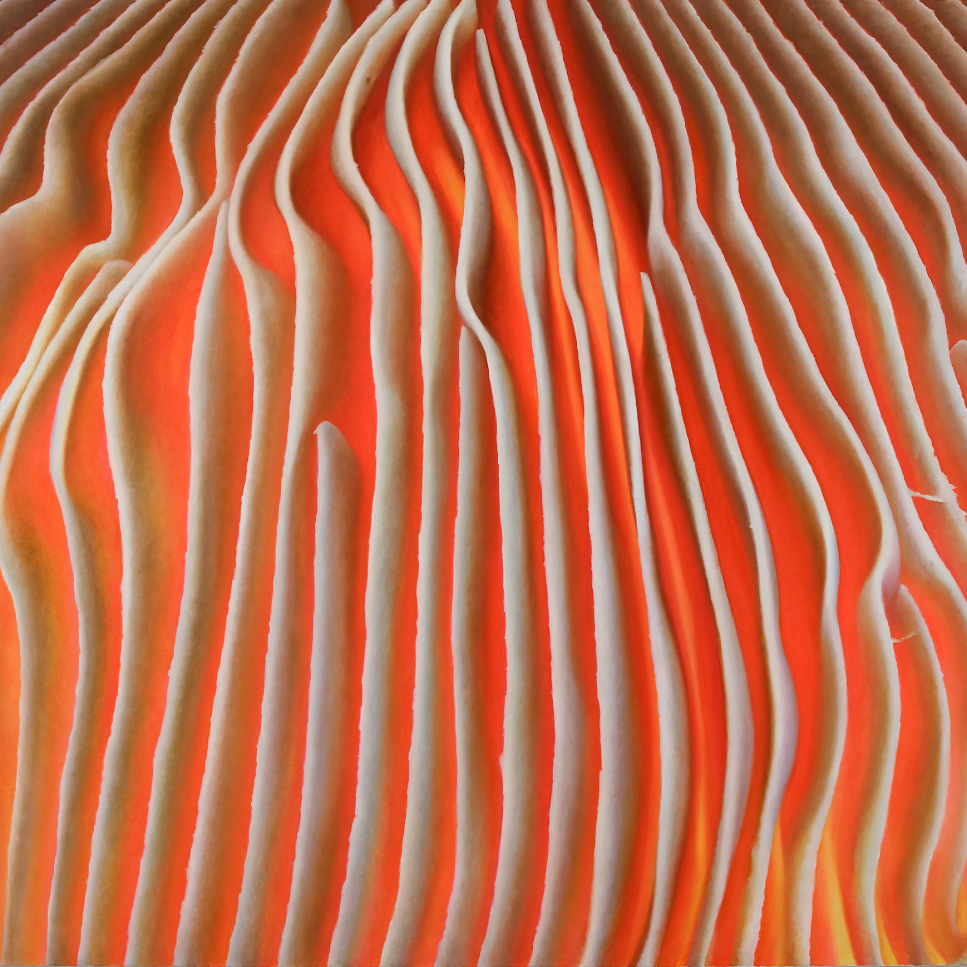 *oT (P XXVIII)*, 2010, Öl und Acryl auf Lwd, 240 x 250 cm