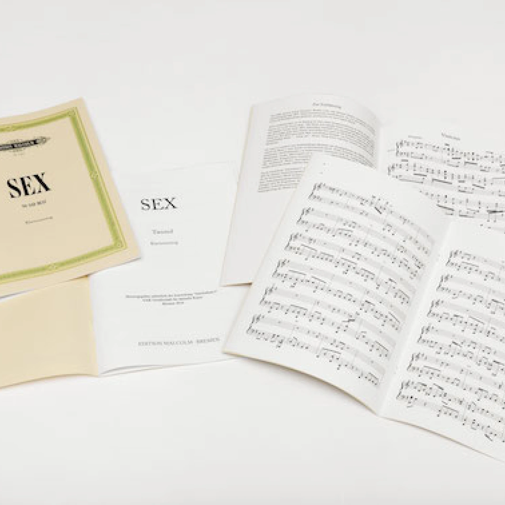 *SEX – 5 Partituren*, 2016
With Branka Colic and Anneli Käsmayr
as part of INTERLUDIUM GAK Bremen
Photo: Tobias Hübel