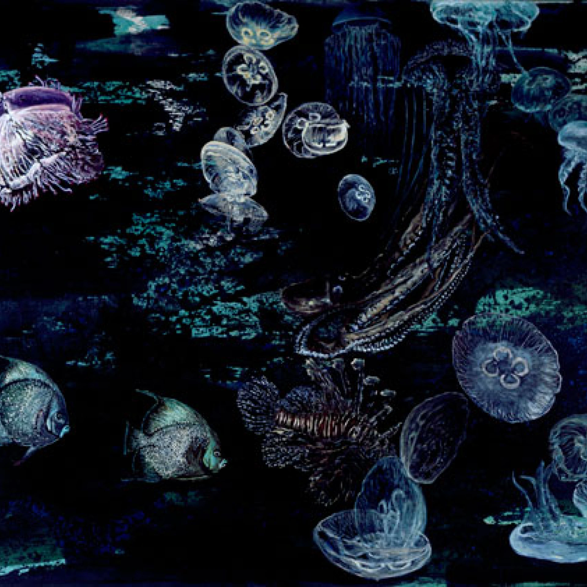 *Vieques III*, 2010, acrylic/oil on canvas,162 x 230 cm