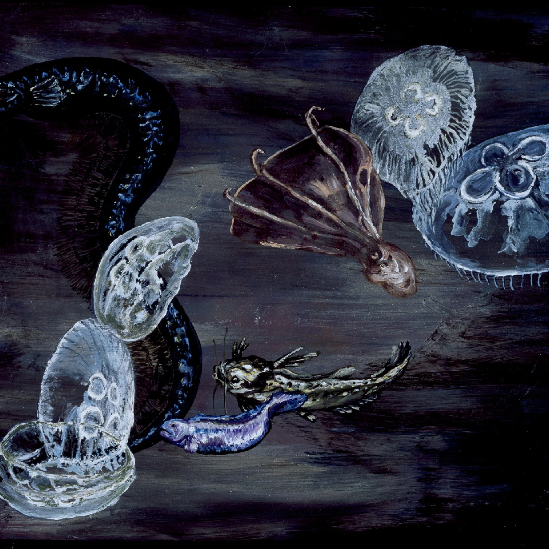 *Vieques IV*, 2012, oil on canvas, 80 x 80 cm